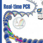 كارگاه يك روزه آموزشي Real Time PCR  در دانشگاه صنعتي شاهرود