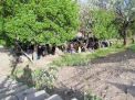 اردوی فرهنگی تفریحی دفتر نهاد رهبری، به مناسبت مبعث پیامبر اعظم (ص)
