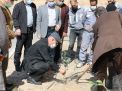 گزارش تصویری روز درختکاری 