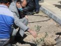 گزارش تصویری روز درختکاری 
