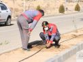 گزارش تصویری روز درختکاری در پردیس فناوری