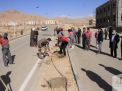 گزارش تصویری روز درختکاری در پردیس فناوری