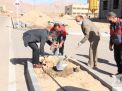 گزارش تصویری روز درختکاری در پردیس فناوری