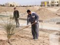 گزارش تصویری مراسم روز درختکاری