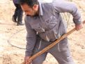 گزارش تصویری مراسم روز درختکاری