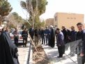 گزارش تصویری مراسم روز درختکاری