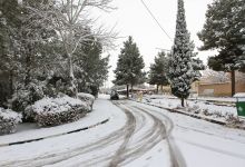 گزارش تصویری از روز 16 آذر اولین برف در دانشگاه شاهرود