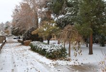 گزارش تصویری از روز 16 آذر اولین برف در دانشگاه شاهرود