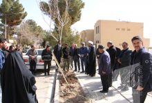 گزارش تصویری مراسم روز درختکاری