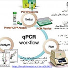 برگزاری کارگاه آموزشی طراحی آغازگر، آنالیز و تفسیر داده های بیان ژن