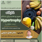 کارگاه تمرین و تغذیه برای حداکثر Hypertrophy (رشد عضلانی)