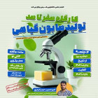 کارگاه صفر تا صد تولید صابون‌های گیاهی با همکاری کانون صنایع دستی و هنرهای تجسمی