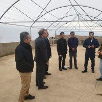 بازدید مدیران حوزه پژوهش دانشگاه صنعتی شاهرود از پردیس کشاورزی بسطام