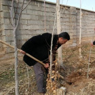 برگزاری مراسم درختکاری در دانشکده کشاورزی