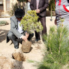 برگزاري آئین كاشت درخت در دانشگاه صنعتي شاهرود     