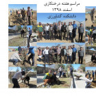 هفته درختکاری