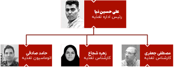 تغذیه